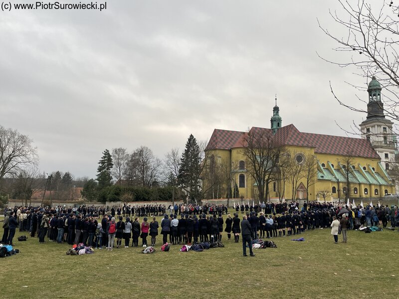 Skauci na 