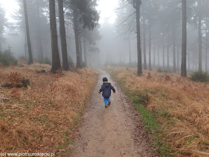 Dziecko biegnie w lesie