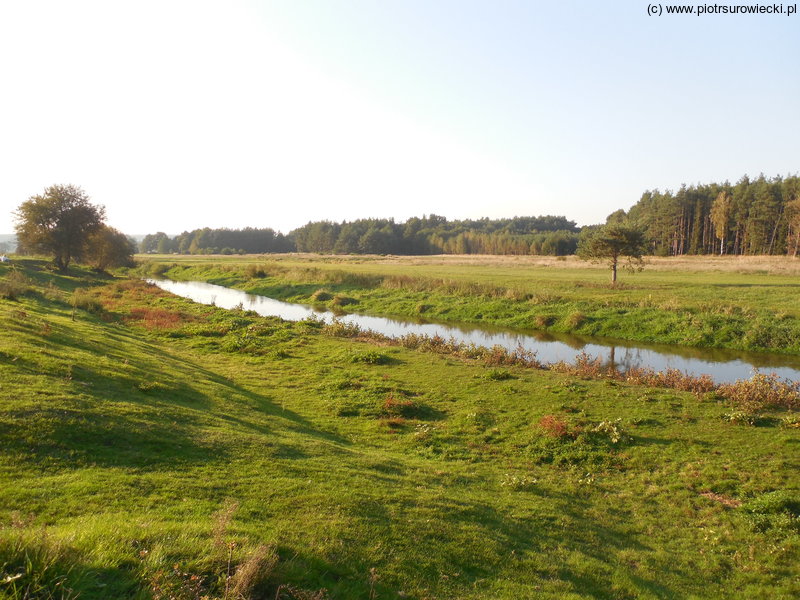 Zielone łąki nad rzeką