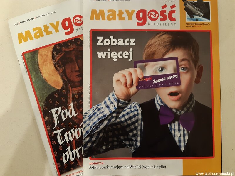 Mały Gość - okładka