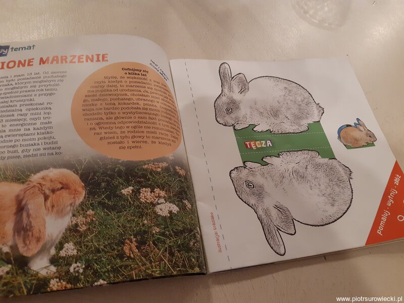 Moje Pismo Tęcza - wnętrze